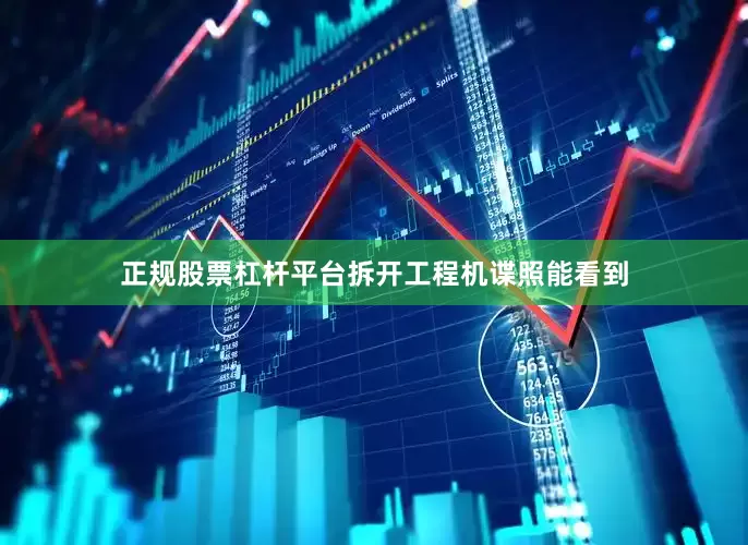 正规股票杠杆平台拆开工程机谍照能看到