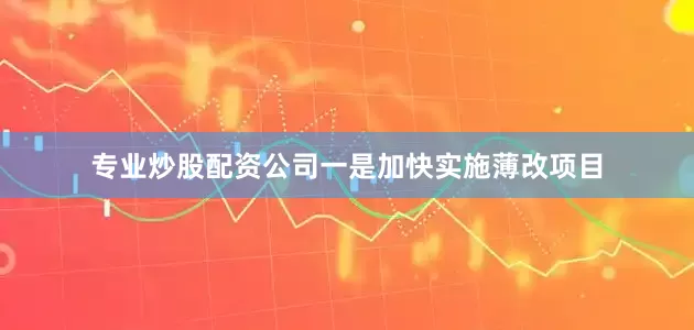 专业炒股配资公司一是加快实施薄改项目